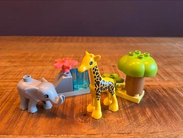Lego Duplo 10971 wilde dieren uit afrika beschikbaar voor biedingen