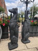 grote zwarte honden windhond hazewindhond whippet greyhound, Ophalen, Nieuw, Beton