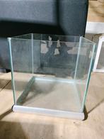 Vissenkom, Dieren en Toebehoren, Vissen | Aquaria en Toebehoren, Ophalen, Zo goed als nieuw, Leeg aquarium