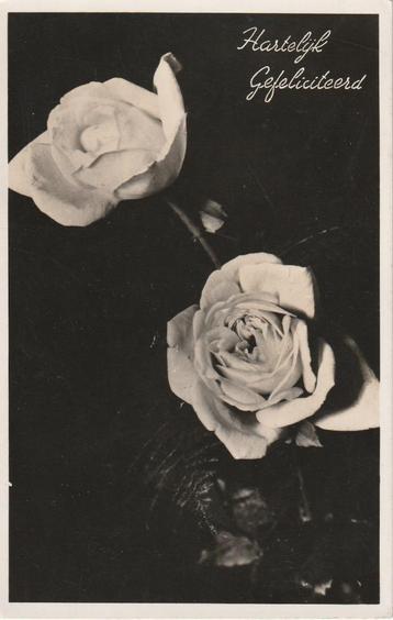 ROOS ROZEN UIT JAREN 40 ZEER MOOIE OUDE KAART KJ401 beschikbaar voor biedingen