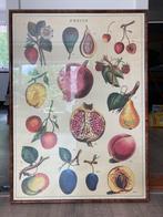 Vintage poster ‘fruits’ in lijst, Antiek en Kunst, Ophalen