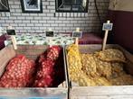 Aardappels van de klei biltstars frieslanders en sunita, Ophalen of Verzenden, Nieuw