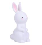 Nachtlamp Kinderlamp Konijn Groot Little Lovely Company, Overige typen, ALLC B.V., Service@alittlelovelycompany.nl, Nieuw