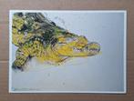 Erik Andriesse - Krokodil, 1992. Teylers Museum Haarlem, Ophalen of Verzenden, 1980 tot heden, Ongelopen, Overige thema's