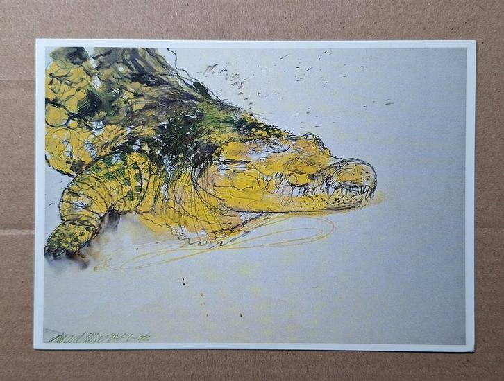 Erik Andriesse - Krokodil, 1992. Teylers Museum Haarlem, Verzamelen, Ansichtkaarten | Themakaarten, Ongelopen, 1980 tot heden
