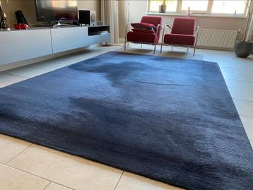 Vloerkleed blauw, laagpolig, stevig gemaakt beschikbaar voor biedingen
