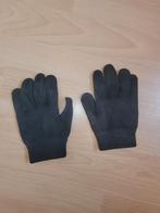 Paardrij handschoenen, Ophalen of Verzenden, Zo goed als nieuw, Handschoenen