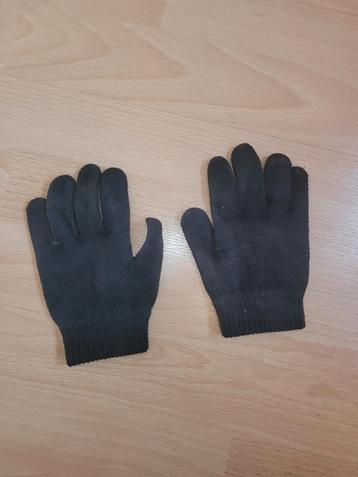 Paardrij handschoenen beschikbaar voor biedingen