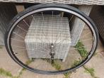 Wiel Alexrims 28" voor racefiets, Fietsen en Brommers, Fietsonderdelen, Ophalen, Zo goed als nieuw, Racefiets, Wiel