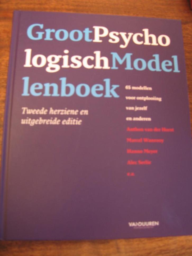 Groot psychologisch Modellenboek, Boeken, Psychologie, Zo goed als nieuw, Ophalen of Verzenden