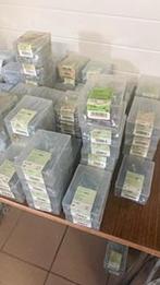 PGB schroeven, Ophalen of Verzenden, Nieuw, Rvs, Overige typen