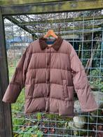 Donzen heren jas Wellington of Bilmore maat 52, Kleding | Heren, Jassen | Winter, Ophalen of Verzenden, Zo goed als nieuw, Maat 52/54 (L)