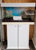 Ferplast Dubai 80 aquarium 125L met bijpassende meubel, Ophalen, Gebruikt, Grind, Zand of Voedingsbodem
