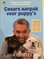 CESAR MILLAN - Cesars aanpak voor puppy's, Boeken, Gelezen, Cesar Millan; Melissa Jo Peltier, Honden, Ophalen of Verzenden