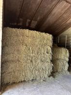 Mooie grote hooibalen, Dieren en Toebehoren, Ophalen of Verzenden, Vee