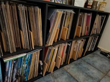 Lp/vinyl verzameling beschikbaar voor biedingen