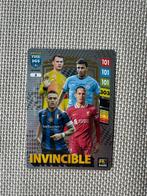 Invincible 5 - Panini 2025 - 10 years, Hobby en Vrije tijd, Stickers en Plaatjes, Ophalen of Verzenden, Zo goed als nieuw, Plaatje