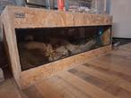 Obs Terrarium 120x50x50, Ophalen, Zo goed als nieuw, Terrarium of Paludarium