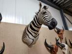 Opgezette Zebra Afrika - Nieuw Preparaat!, Ophalen of Verzenden, Nieuw, Wild dier, Opgezet dier