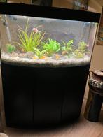 Jewel aquarium vision 180 led +onderkast en Tetra buitenpomp, Ophalen, Gebruikt, Grind, Zand of Voedingsbodem