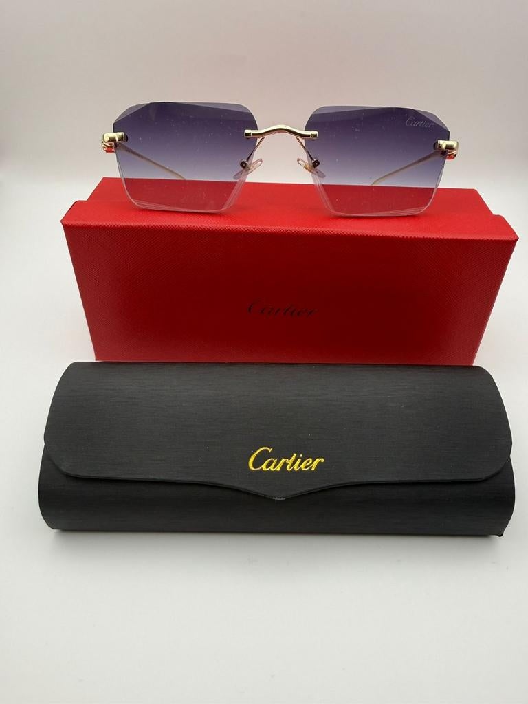 Cartier zonnebril goudkleurig details, Ophalen of Verzenden, Nieuw, Overige merken