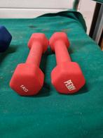gewichten dumbel 1 en 2 kilo, Ophalen of Verzenden, 'T Olde Gre-j, Info@toldegrej.nl, Endepoelstraat 20f Didam