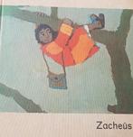 Zacheus - vintage communie bijbel boekje, Ophalen of Verzenden, Gelezen, Christendom | Katholiek