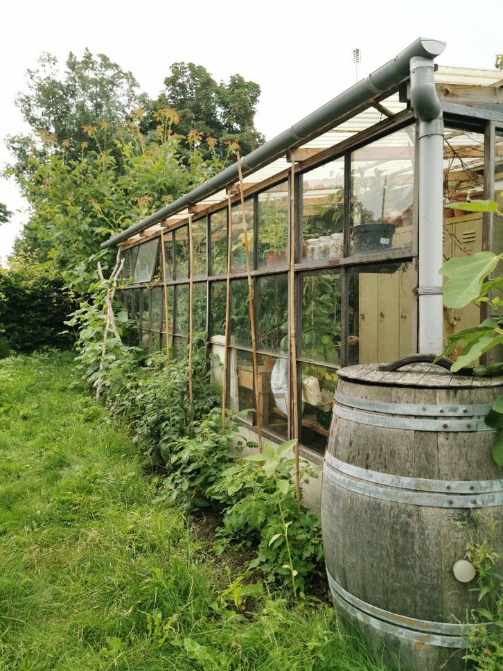 Oude tuinkas, Tuin en Terras, Kassen, Gebruikt, Aluminium, Glas, Ophalen