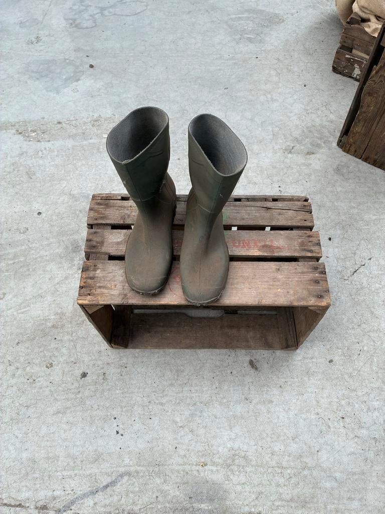 Dunlop Laarzen Maat 46 - Comfortabele Regenlaarzen, Ophalen of Verzenden, Gedragen, Overige kleuren, Regenlaarzen