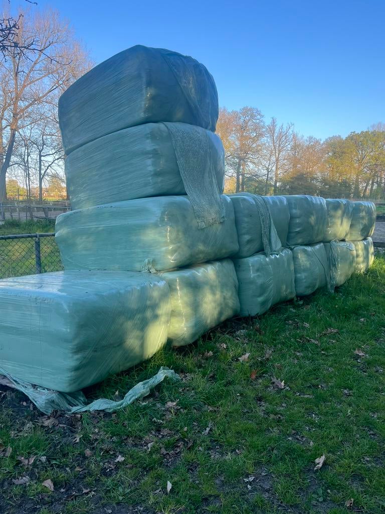 13 hooibalen van natuurgrasland, Dieren en Toebehoren, Ophalen, Vee