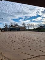 Aangeboden pensionstalling Nieuw Vennep, Dieren en Toebehoren, Stalling, 2 of 3 paarden of pony's