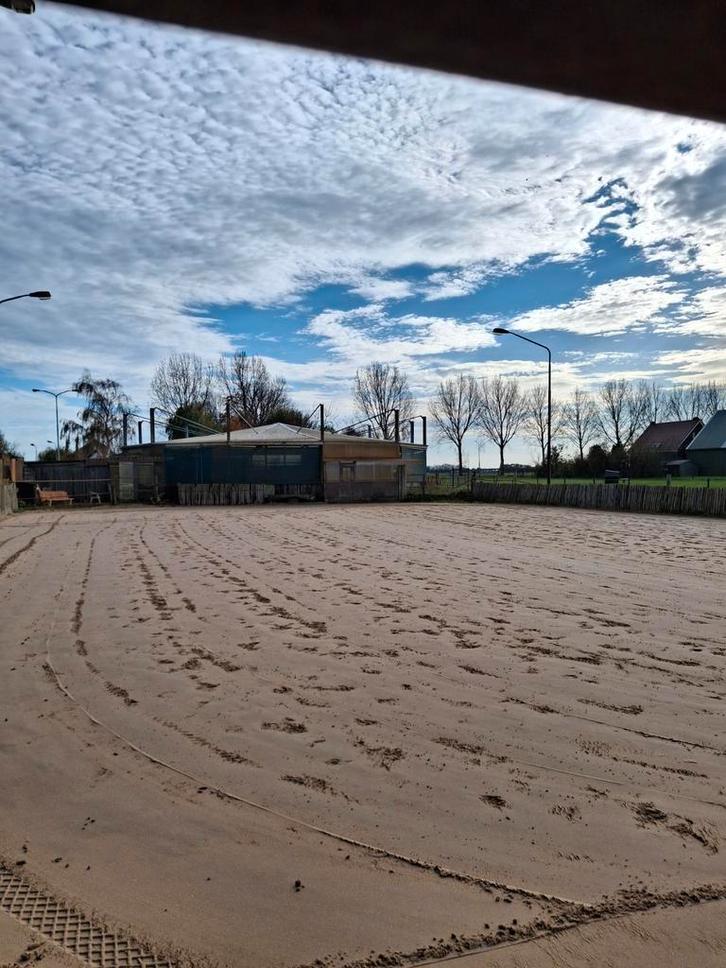 Aangeboden pensionstalling Nieuw Vennep, Dieren en Toebehoren, Stalling en Weidegang, Stalling, 2 of 3 paarden of pony's