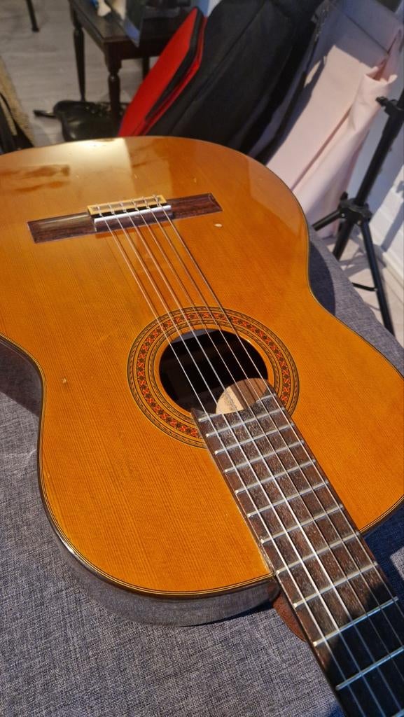 Fender FC-30 Akoestische Gitaar - Klassiek Model, Muziek en Instrumenten, Ophalen, Gebruikt, Klassieke of Spaanse gitaar