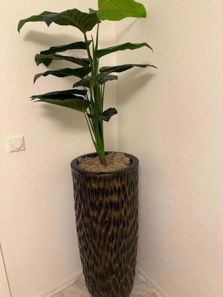 Vaas, Ophalen, Zo goed als nieuw