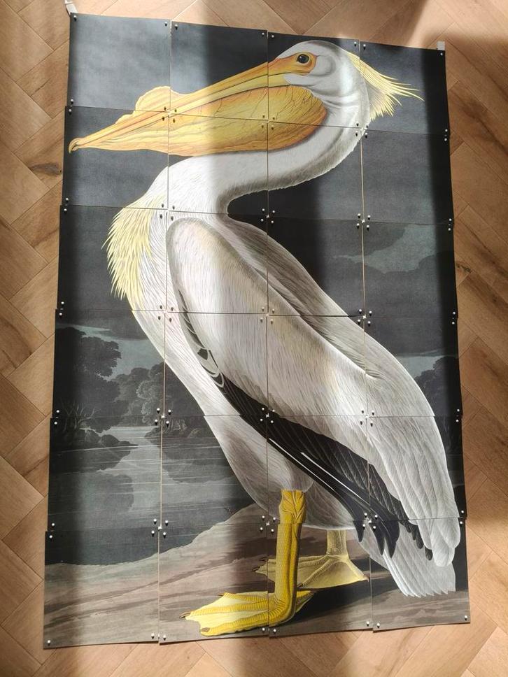 IXXI Schilderij Pelikaan John James Audubon 80x120 cm, Huis en Inrichting, Woonaccessoires | Schilderijen, Tekeningen en Foto's