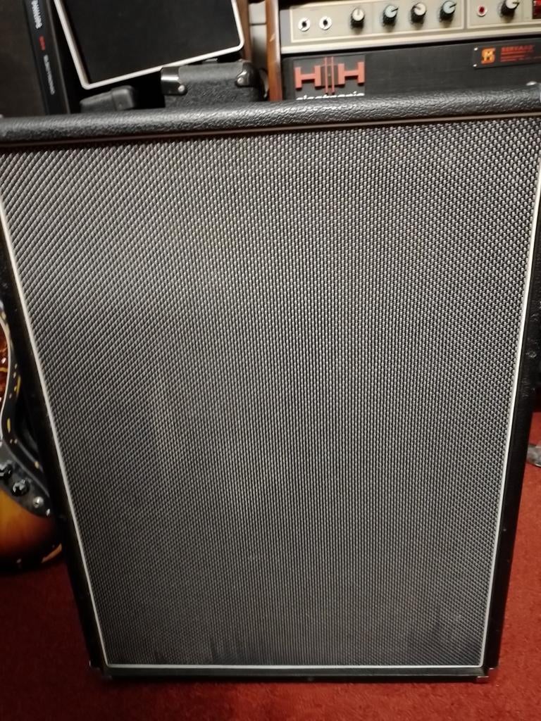EBS Classic 210, Muziek en Instrumenten, Ophalen, Gebruikt, Basgitaar, 100 watt of meer