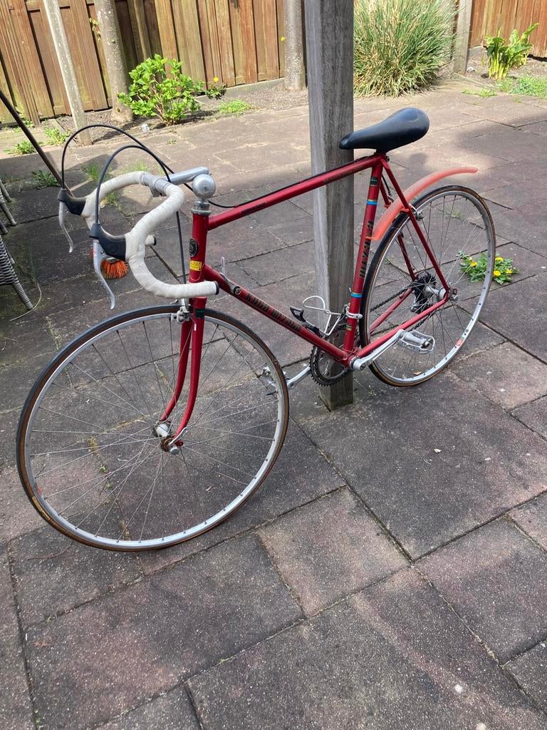 Oldtimer racefiets koga, 59 cm of meer, Ophalen