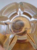 Zadig and Voltaire girls can say anything 90ML Discontinued, Ophalen of Verzenden, Nieuw