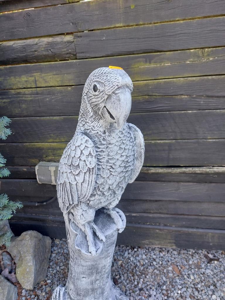 Grote betonnen papegaai beeld voor tuin of terras, Tuin en Terras, Tuinbeelden, Ophalen, Nieuw, Beton, Dierenbeeld
