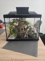 Aquarium van 20 liter., Dieren en Toebehoren, Ophalen, Zo goed als nieuw, Leeg aquarium