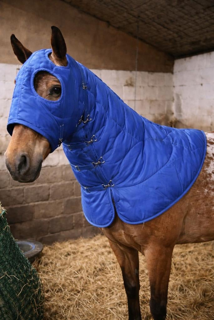Hood/hals stuk winterdeken met hoofd, Dieren en Toebehoren, Afneembare hals, Overige typen, Nieuw, Nylon