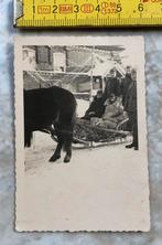 Duitse militairen, originele foto. (13), Verzenden, Landmacht, Duitsland, Foto of Poster