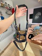 Halster maat full, Dieren en Toebehoren, Ophalen, Gebruikt, Overige soorten