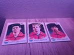 Panini Futbol 92-93: Van Basten, Bergkamp, Rijkaard, Ophalen of Verzenden