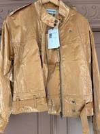 Nieuw jasje Femmes du Sud, Ophalen of Verzenden, Nieuw, Maat 36 (S), Overige kleuren