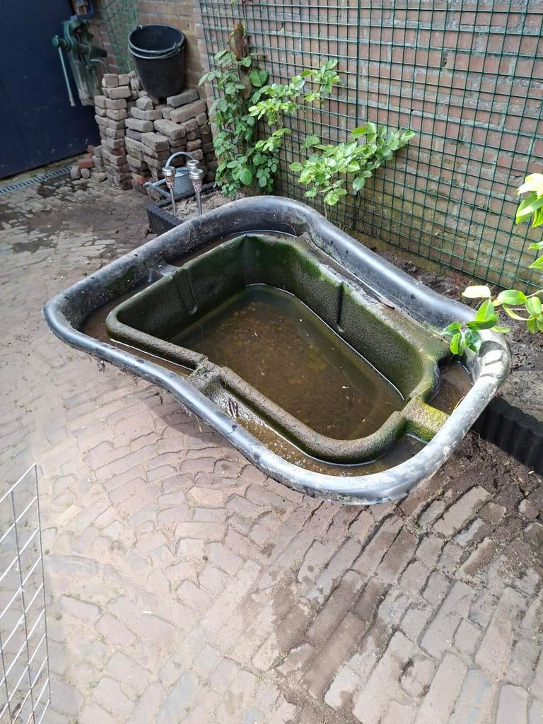 Vijverbak, Ophalen of Verzenden, Gebruikt