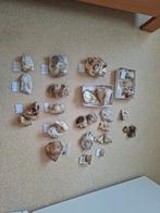 Collectie zeldzame vuursteenfossielen Haccourt en Lixhe, Ophalen of Verzenden, Fossiel