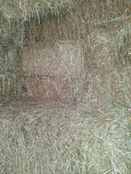 Gerstestro, Dieren en Toebehoren, Ophalen of Verzenden, Vee