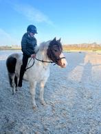 Superleuke  B pony merrie, Dieren en Toebehoren, Pony's, Merrie, B, 7 tot 10 jaar, B pony (1.17m tot 1.27m)