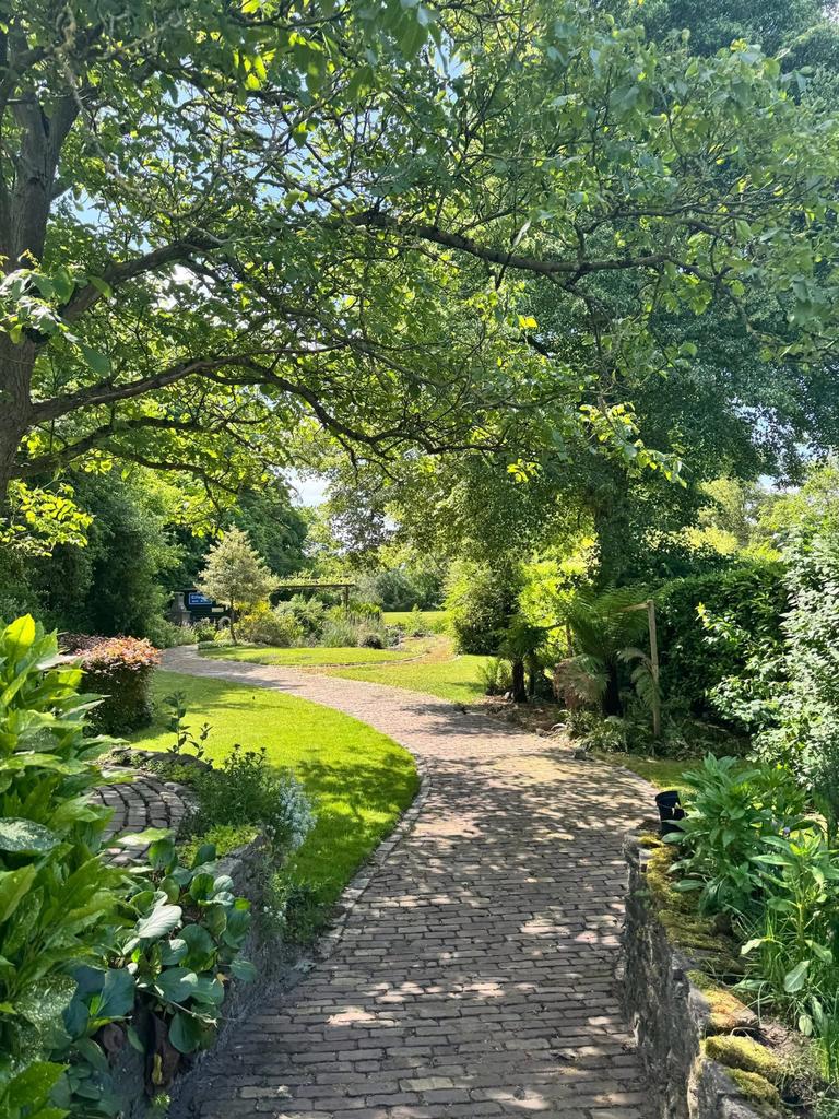 Gezocht: Allrounder voor een 5* Paddock Paradise in Brabant!, Ophalen of Verzenden